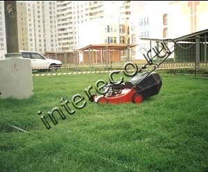 Газонная решетка Erfolg Green Parking