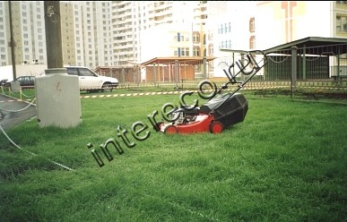 Газонная решетка Erfolg Green Parking